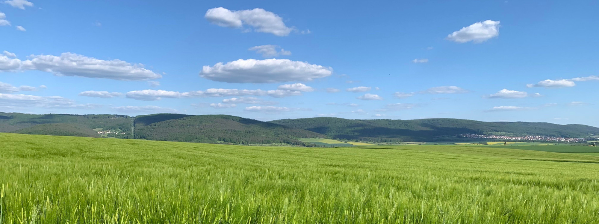 Landschaft Eichelsbach Himmel Gerste